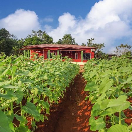 Aarya Farm Bed & Breakfast Bhom Eksteriør bilde