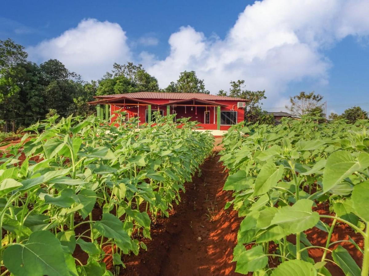 Aarya Farm Bed & Breakfast Bhom Eksteriør bilde